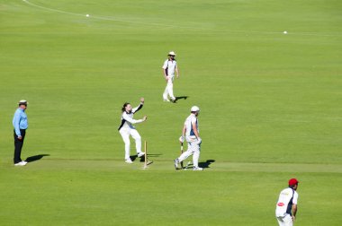 Perth, Avustralya - 10 Şubat 2018: parkta oynadığı açık havada eğlence kriket oyunu