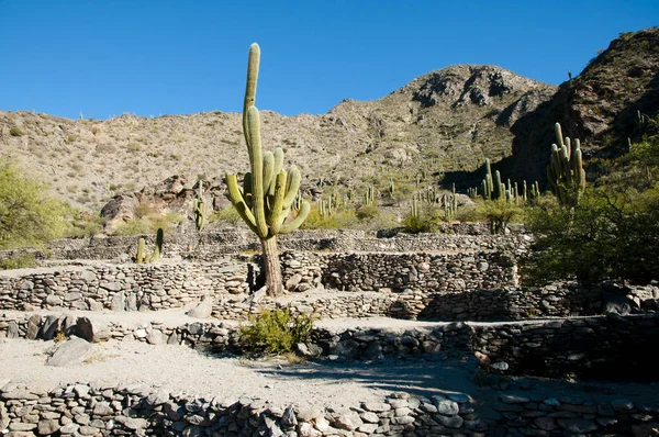 Quilmes Ruins Tucuman Argentina — Stock fotografie