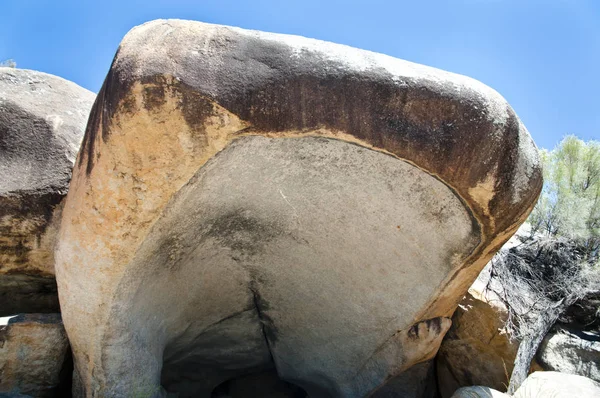 Бегемот Зевать Хайден Австралия — стоковое фото