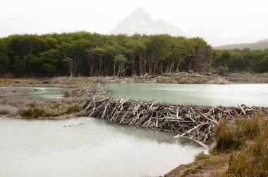 Kunduz Barajı - Tierra Del Fuego - Arjantin