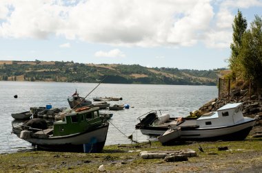 Ahşap balıkçı tekneleri - Castro Bay - Şili