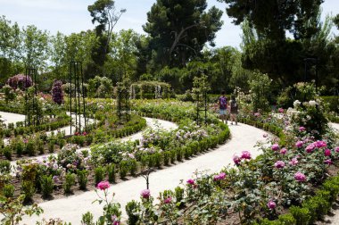 Retiro Park - Madrid - İspanya