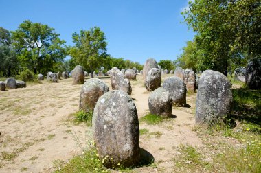 Cromlech Almendres - Evora - Portekiz