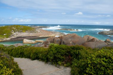 Fil Cove - Batı Avustralya