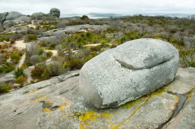 Taşlı tepe - Albany - Avustralya