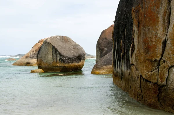 Elephant Cove Australia Occidental —  Fotos de Stock