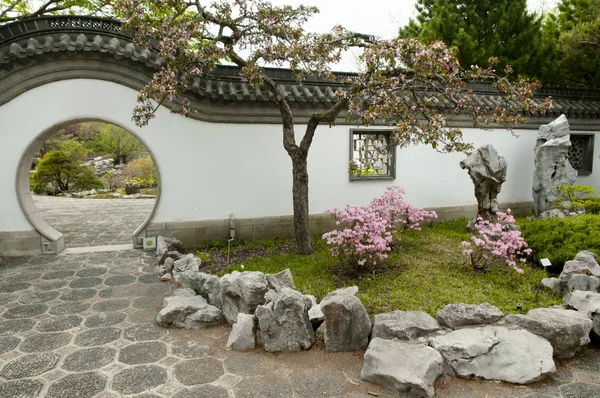 Giardino Botanico Cinese Montreal Canada — Foto Stock