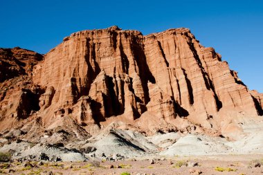 Los Colorados oluşumu - Ischigualasto Provincial Park - Arjantin