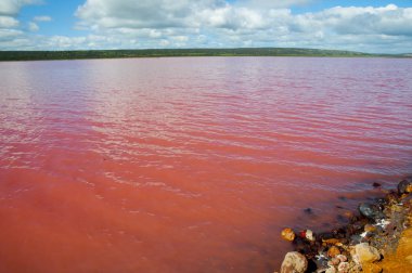 Hutt Lagoon pembe Lake - Batı Avustralya