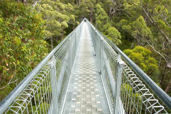 Tree Top Walk in Valley of the Giants - Walpole - Australia