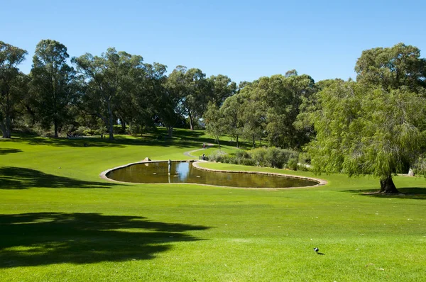 Kings Park Perth Australië — Stockfoto