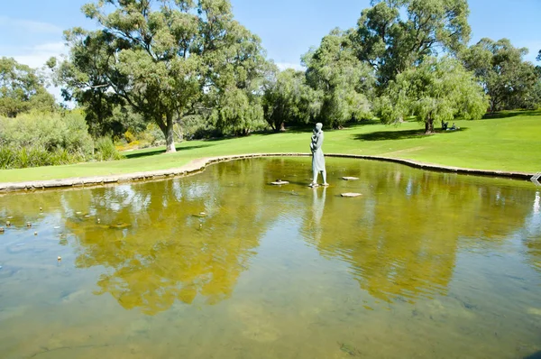 Kings Park Perth Australië — Stockfoto