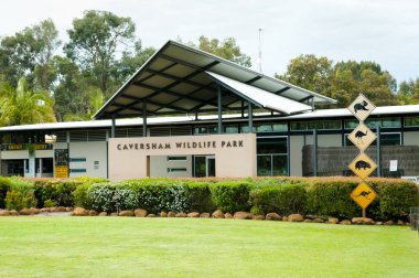 Perth, Avustralya - 13 Ekim 2017: Caversham Wildlife Park adl-in Avustralya'nın yerli hayvan vitrinler ve yakın 200'den fazla türler ile karşılaşır