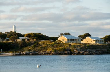 Rottnest Adası - Batı Avustralya
