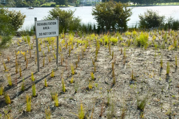 Área Rehabilitación Ambiental Australia — Foto de Stock