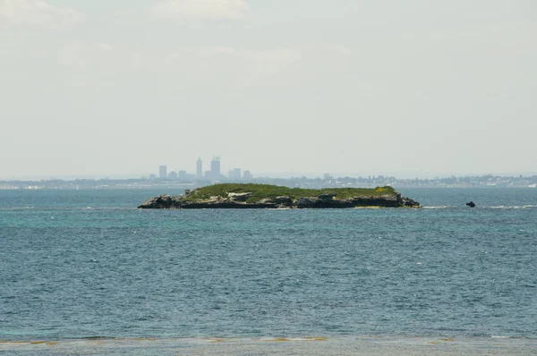 Färberinsel Rotnest Australien — Stockfoto