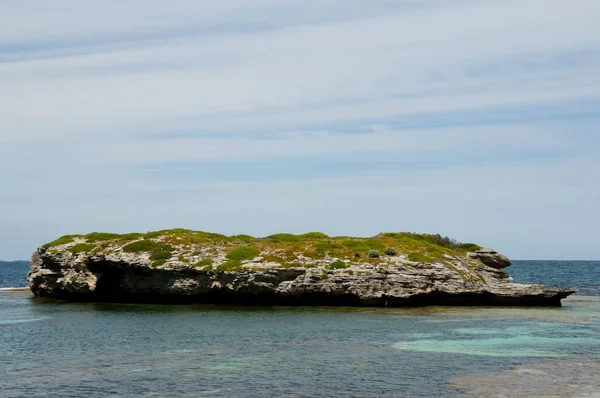 Grüne Insel Rotnest Island Australien — Stockfoto