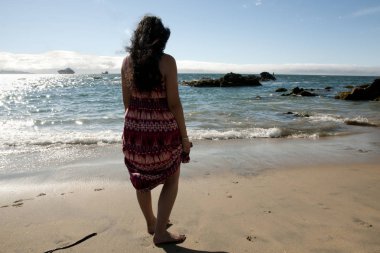 Caleta Abarca Plajı - Vina Del Mar - Şili