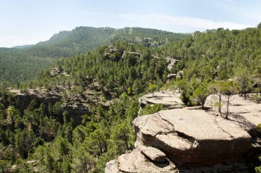 Rodeno çam ormanı - İspanya