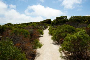 Leeuwin Naturaliste Milli Parkı - Batı Avustralya