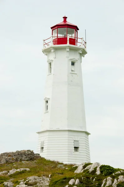 Vuurtoren Van Louisbourg Nova Scotia Canada — Stockfoto