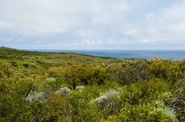 Parque Nacional Leeuwin Naturaliste Australia Occidental —  Fotos de Stock