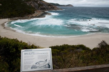 Somon Bay - Albany - Avustralya