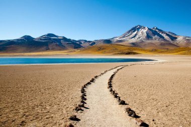 Miscanti Lagoon - kuzey Şili