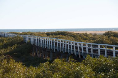 Bir mil İskelesi - Carnarvon - Avustralya