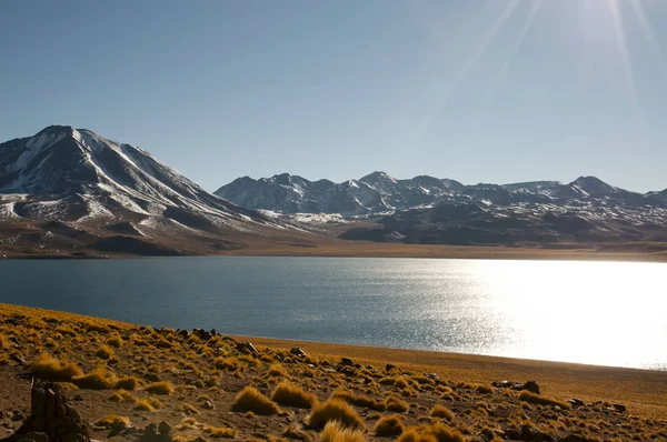 Miscanti Lagoon Kuzey Şili — Stok fotoğraf
