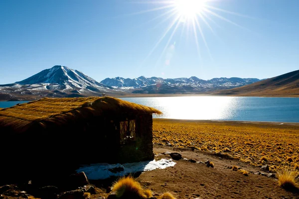 Miscanti Lagoon Kuzey Şili — Stok fotoğraf