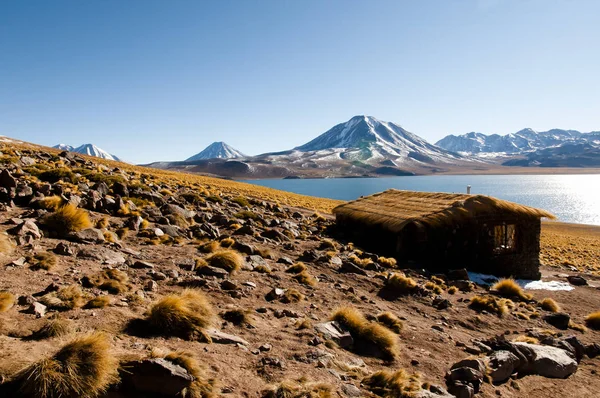 Miscanti Lagoon Kuzey Şili — Stok fotoğraf