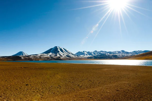 Miscanti Lagoon Kuzey Şili — Stok fotoğraf