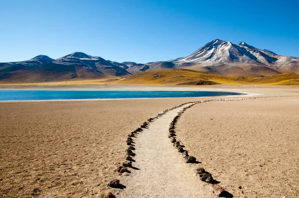 Lagune Miscanti Nord Chili — Photo