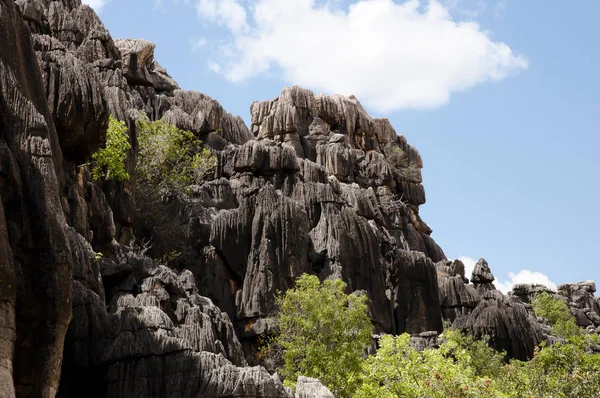 Parque Nacional Geikie Gorge Kimberley Australia — Foto de Stock