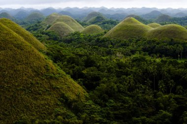 çikolata hills - bohol - Filipinler