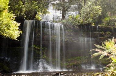 Russell Falls - Mount alan Milli Park - Tazmanya
