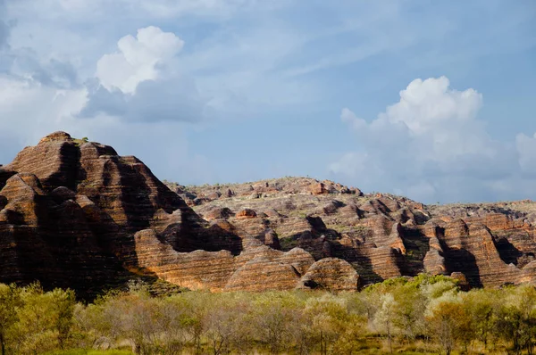 Soppmuleområde Kimberley Australia – stockfoto