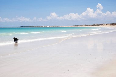 Cable Beach - Broome - Avustralya