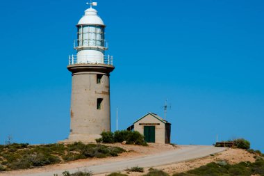 Vlaming kafa feneri - Exmouth - Avustralya