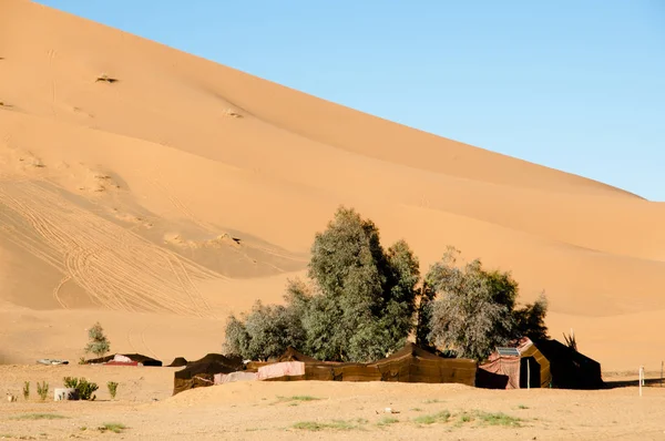 Tentes Berbères Dans Les Dunes Merzouga Maroc — Photo