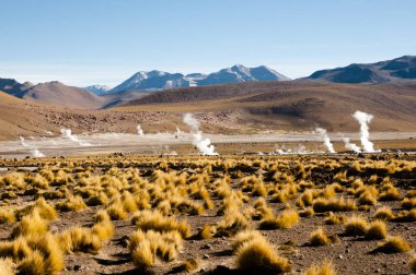 El Tatio şofben alan - Şili