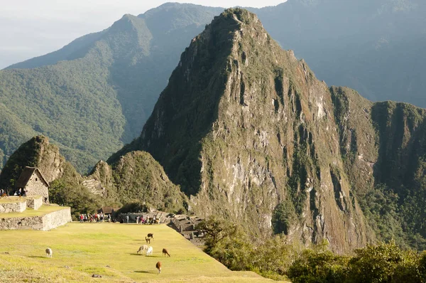 Ruinas Machu Picchu Inca Perú —  Fotos de Stock