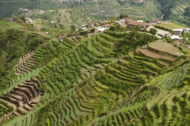 Teras - Luzon - Filipinler alanları