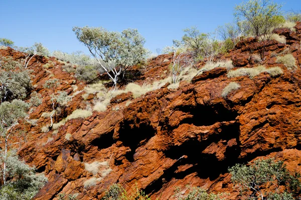 Железная Руда Гематите Австралийская Глубинка — стоковое фото