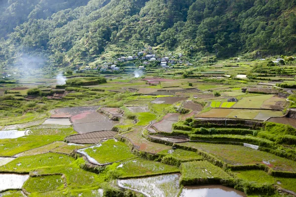 Terrace Fields Luzon Filippine — Foto Stock