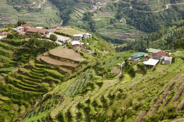 Terrace Fields Luzon Filippine — Foto Stock