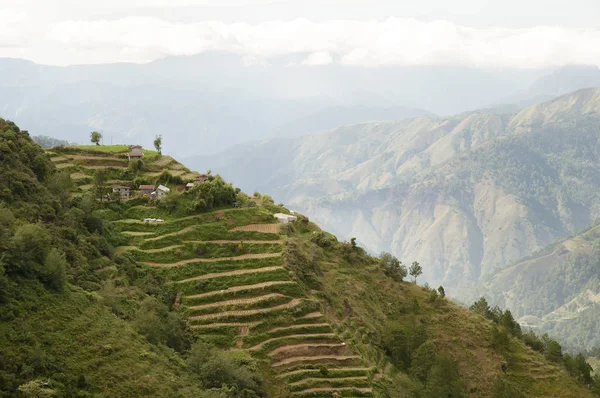 Terrace Fields Luzon Filippine — Foto Stock