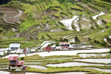 Batad alan teraslar - Filipinler