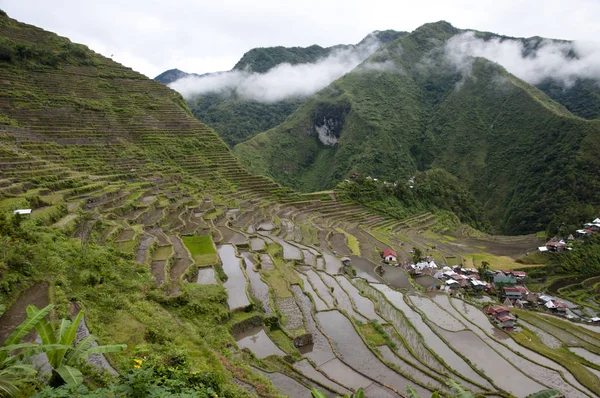 Terraços Campo Carga Filipinas — Fotografia de Stock
